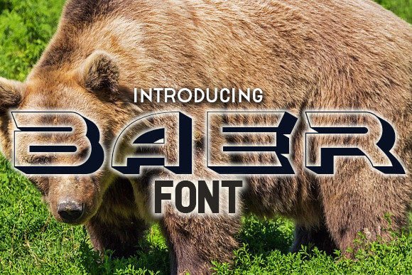 Download Baer - Premium Resources