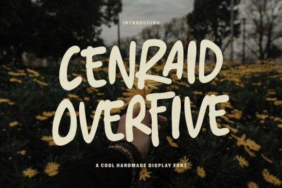 Download Cenraid Overfive - Premium Resources